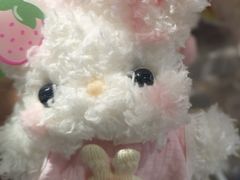 -海底捞火锅(青悦城店)