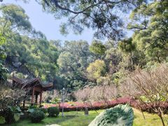 -金鸡山公园
