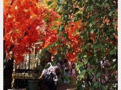 -The Grounds of Alexandria