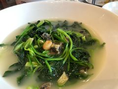 上汤菠菜-顺德了能馆(虎门店)