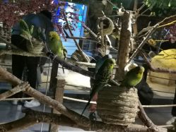 -酷嗒动物文化乐园(cutezoo西溪乐天城店)