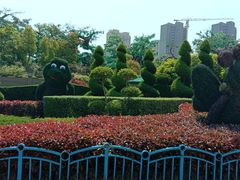 -中华恐龙园