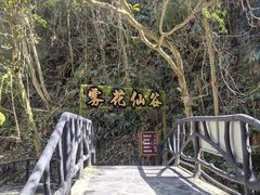 -夏霖九天银瀑风景区