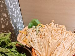-季季山·云南野生菌火锅(上海首店)