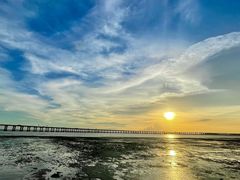 -宝安西湾红树林湿地公园