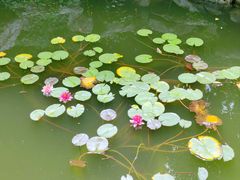 景点-口岸雕花楼