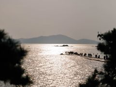 -八大关景区