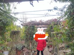 -三圣花乡旅游区