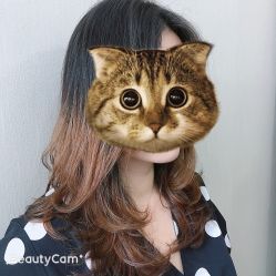 -美森形象