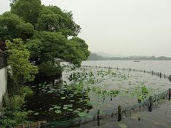 b_large_uKHF_6a6700-郭庄茶室