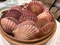-山海菜馆·海肠捞饭·青岛菜(栈桥店)