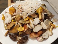 -山菌美食苑(振兴路店)