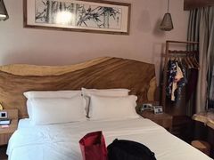 -成都蓝城悦杏温泉美食酒店(宽窄巷子店)
