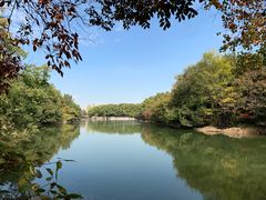 -白马涧龙池景区
