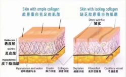 -慕拉美甲美睫皮肤管理