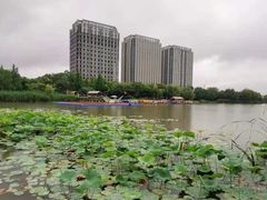 -南翔镇银翔湖公园