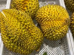 -乐乐鲜果水果超市(河北店)