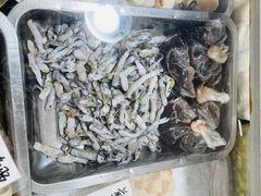 -明记海鲜美食老字号(明记总店)