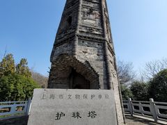 -上海佘山国家森林公园天马山园