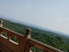 -灵谷景区