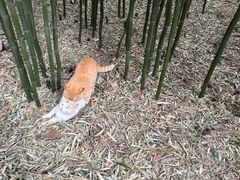 -红螺寺
