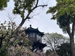 -拙政园