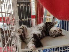 -正阳春烤鸭店(杨楼店)