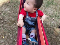 -自然谷恐龙园
