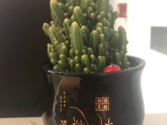 -后院犇牛主题餐厅(云岗店)