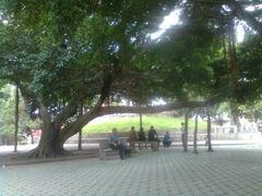 android_upload_pic-东湖公园