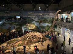 -自贡恐龙博物馆