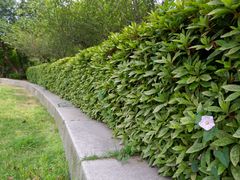 -昆山城市生态森林公园