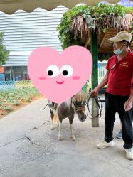 -萌宠亲子动物乐园(槐房万达店)