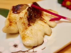炭烤法国银鳕鱼-鲔屋寿喜烧