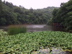 -天目湖山水园