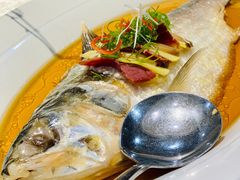 古法秘制蒸鲥鱼-麟1929(外滩店)