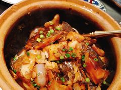 -甄御•海鲜新青岛菜(麦岛店)