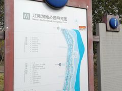 -江滩湿地公园