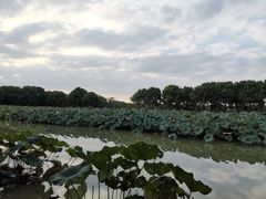-嘉北郊野公园