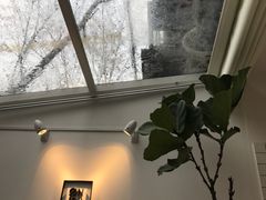 -Onirii Coffee(长乐路店)