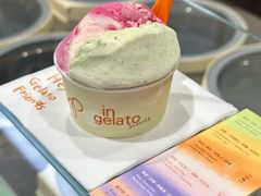 -Dip in Gelato(富民路店)