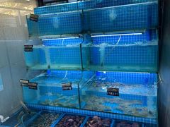 -老东镇啤酒屋海鲜加工·蒸汽海鲜·海鲜烧烤(台东店)