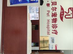 -艾贝尔宠物诊疗