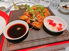 -柿合缘新京菜(国金中心商场店)