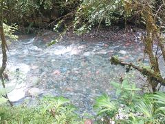 -西岭雪山大飞水景区