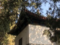 -香山公园