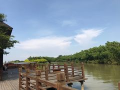 -大湾区中央湿地公园