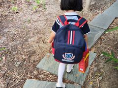 -小风车金桥丽都幼儿园(金桥店)