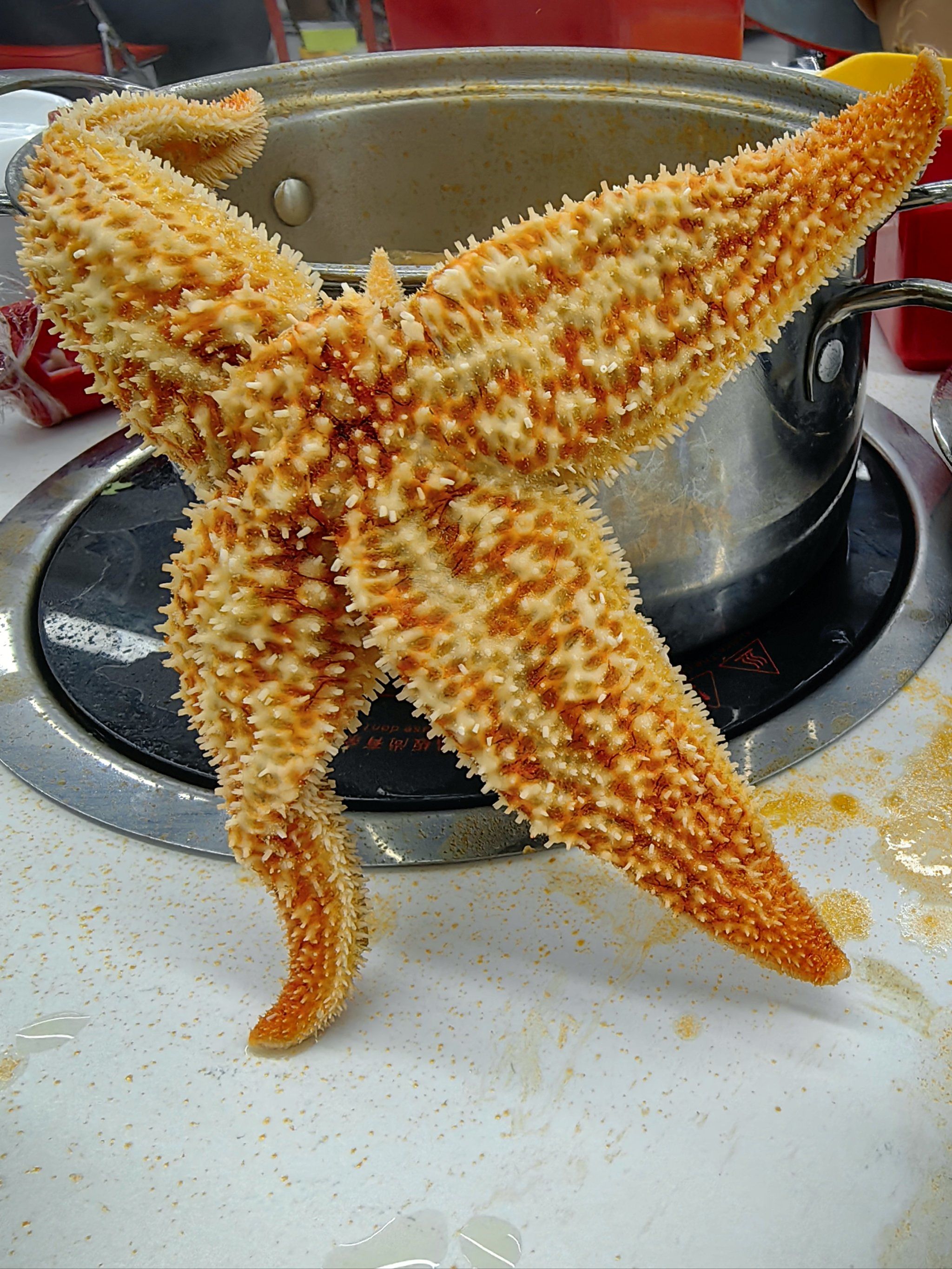 海星海星?非常行!