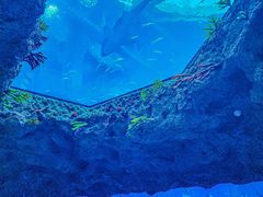 -南昌融创海世界